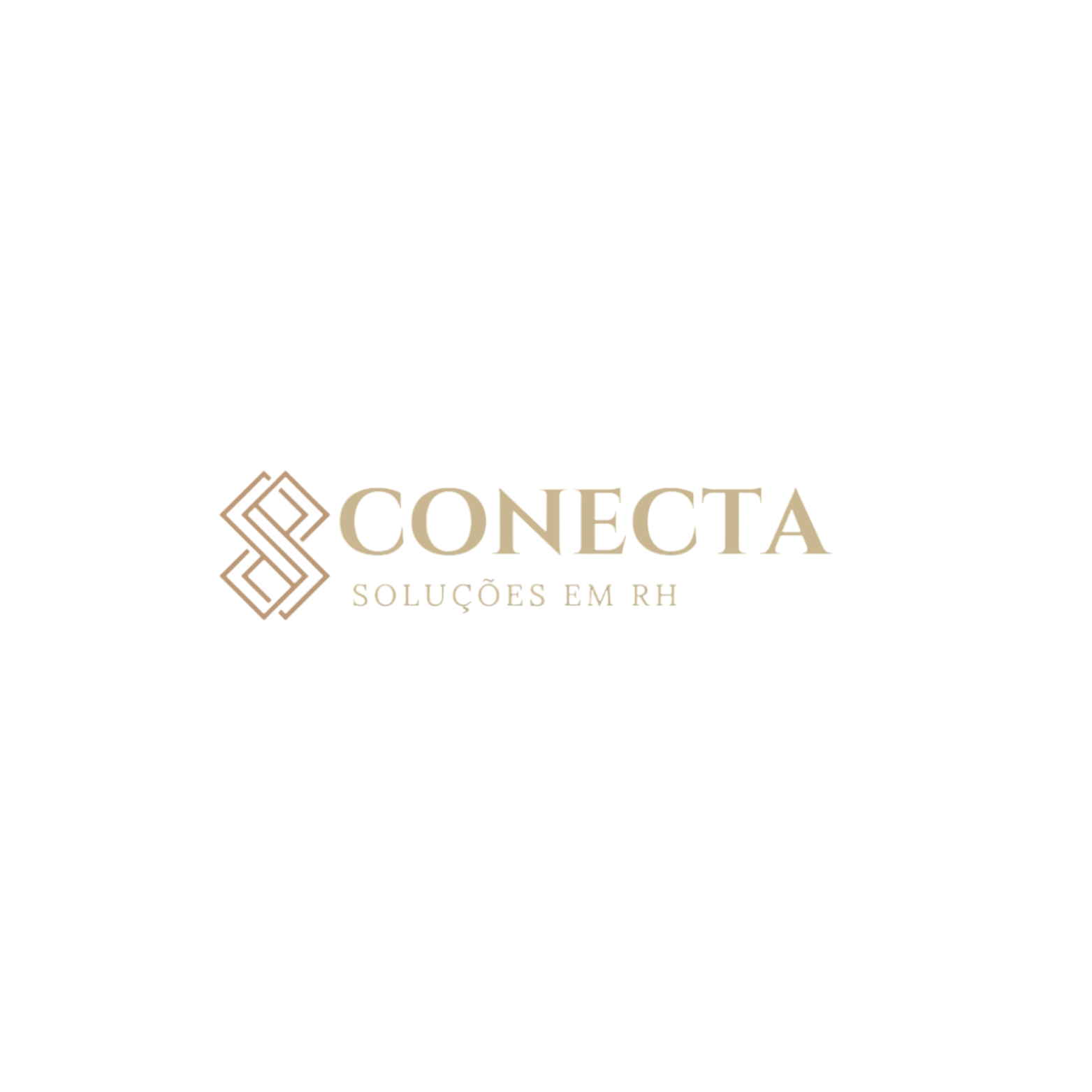 Conecta Soluções em RH